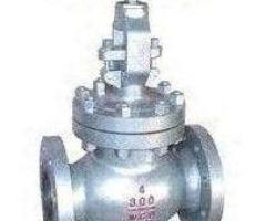 GLOBE VALVES SUPPLIERS IN KOLKATA